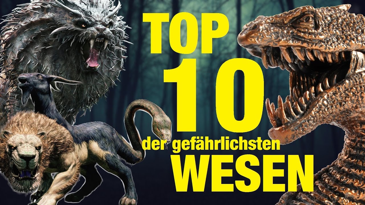 TOP 10 der GEFÄHRLICHSTEN TIERWESEN aus Harry Potter 💀