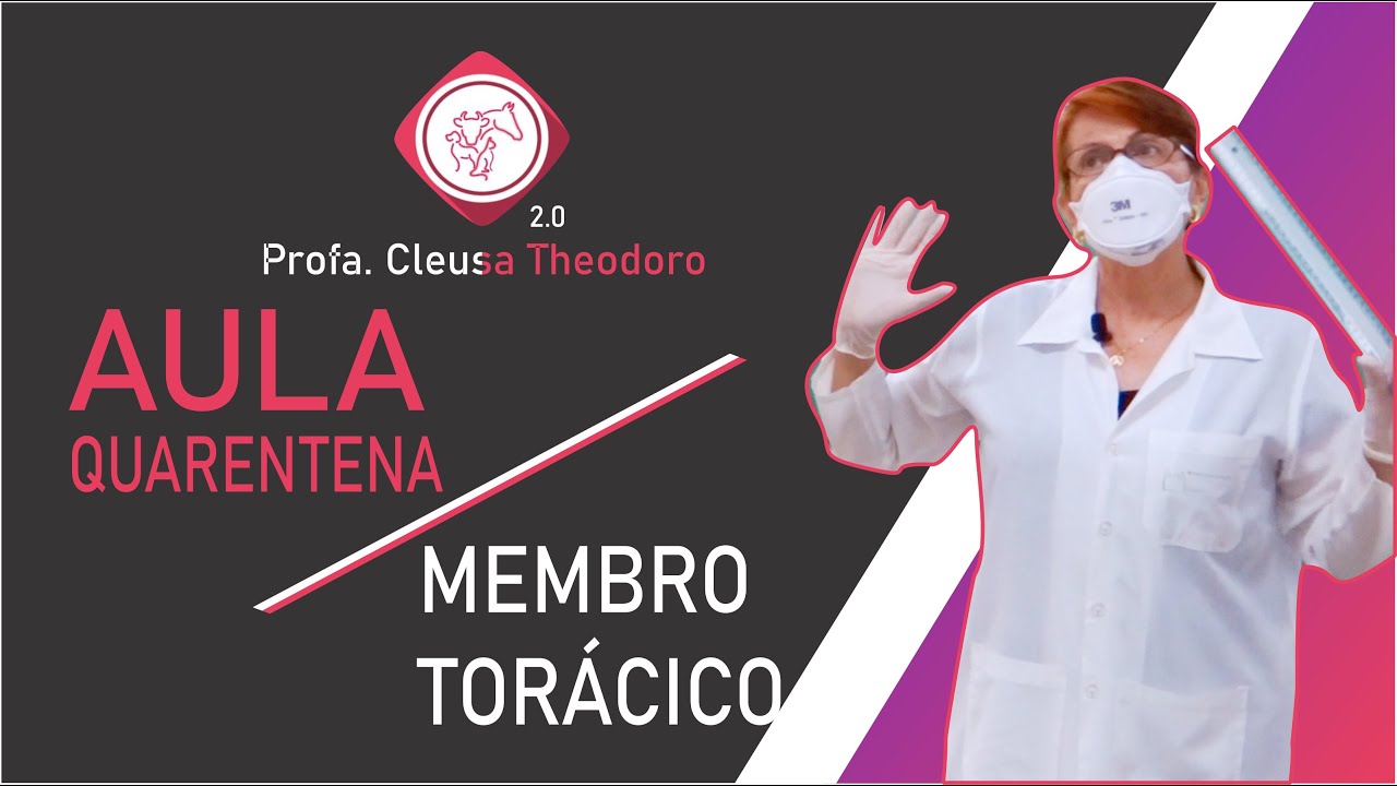 Esqueleto Apendicular Parte I – Membro Torácico