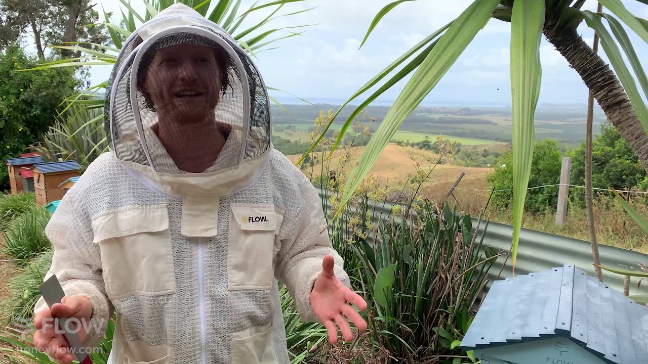 How to add a Flow Hive Super to your brood box 🐝🍯