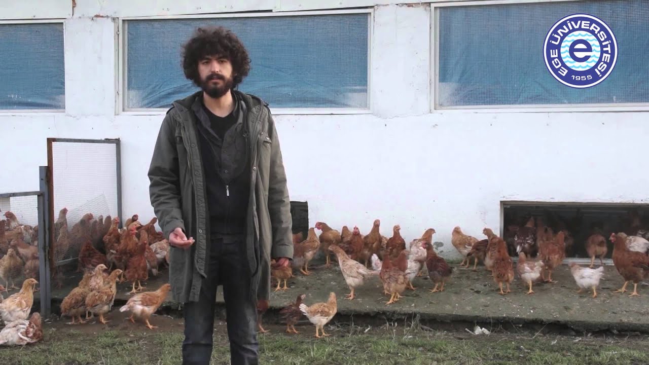 Ödemiş Meslek Yüksekokulu - Organik Tarım