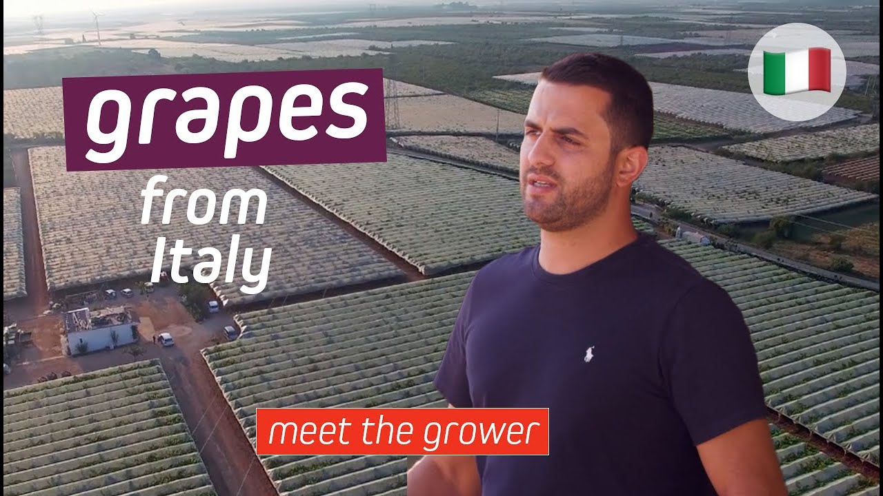 Meet The Grower in Italy | EXSA Europe