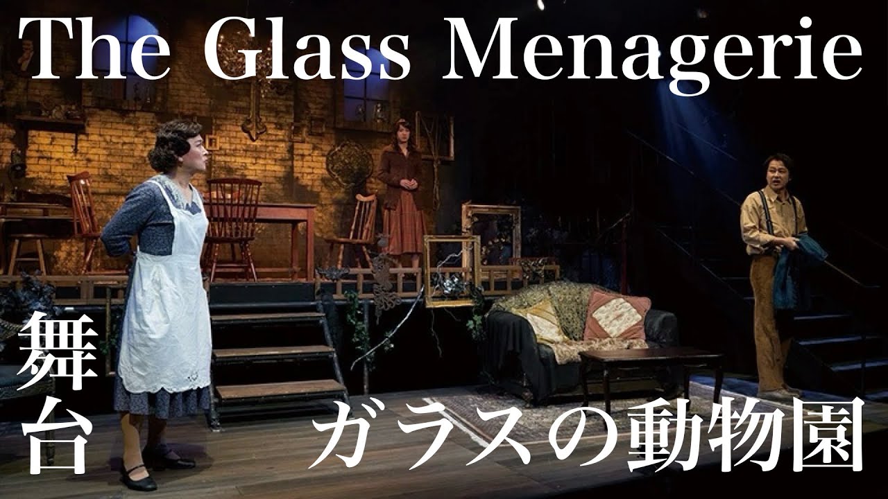 『ガラスの動物園』The Glass Menagerie 2025劇団スタジオライフ【公演CM】