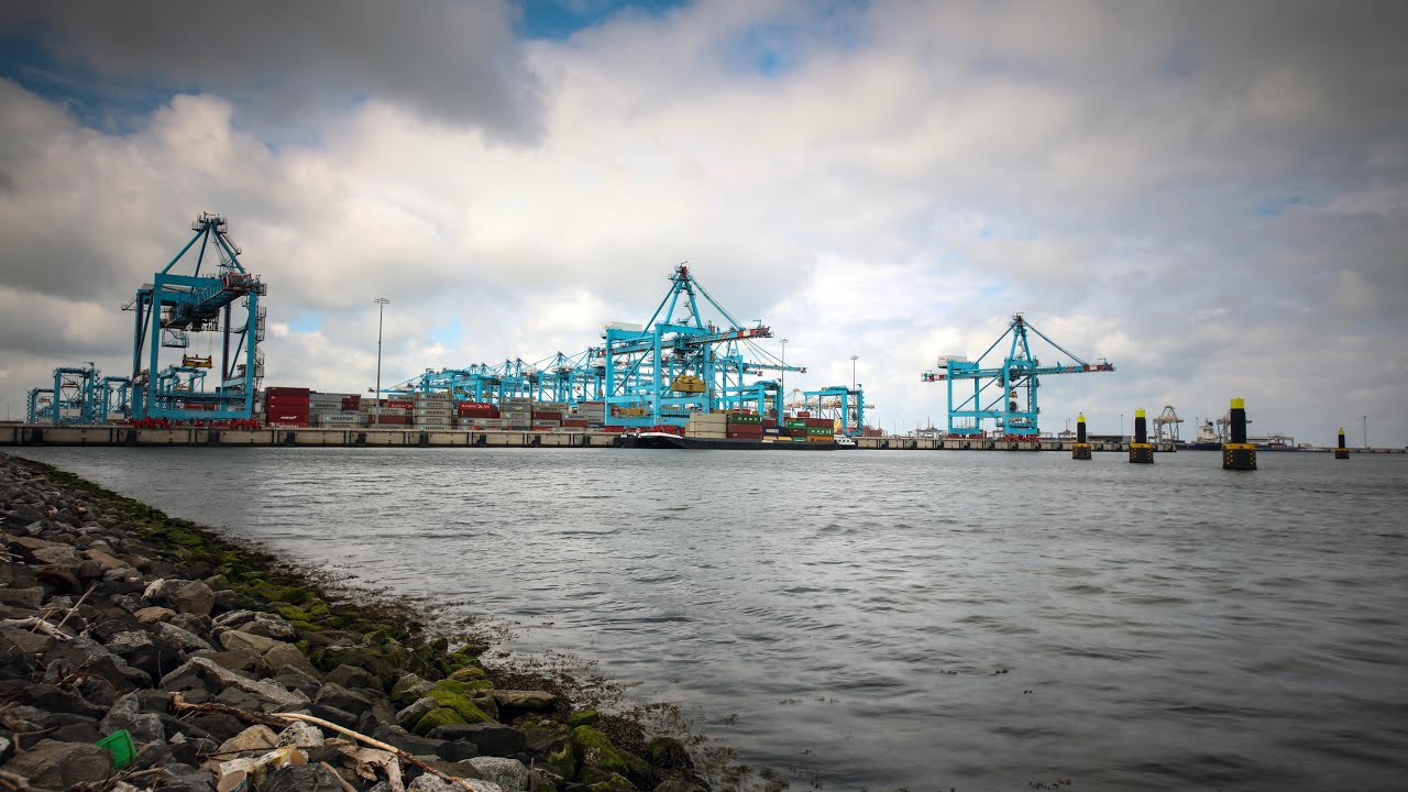 The making-of van De Nieuwe Wildernis 2.0 - Wild Port of Europe (10 min) - aflevering 1