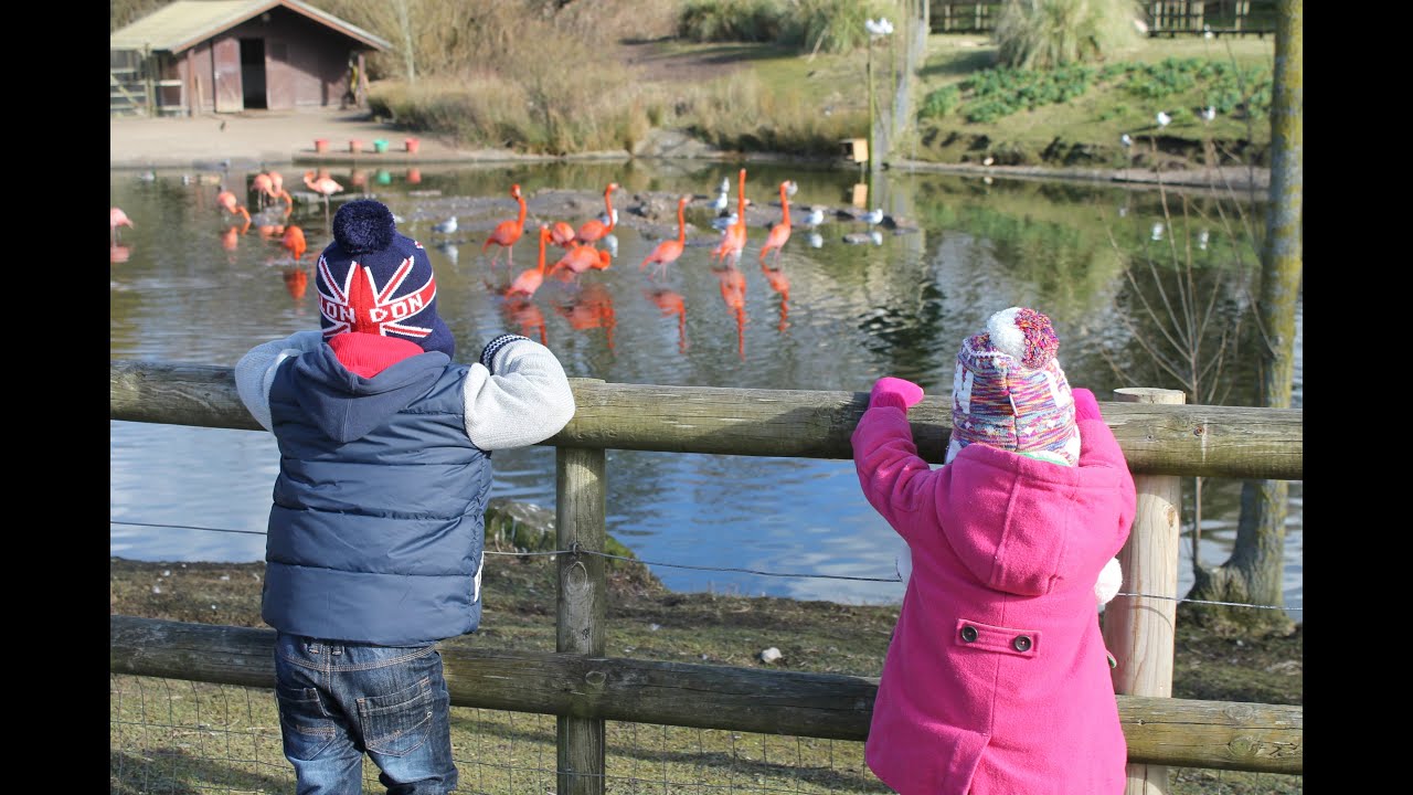 Blackpool Zoo Family Day Out