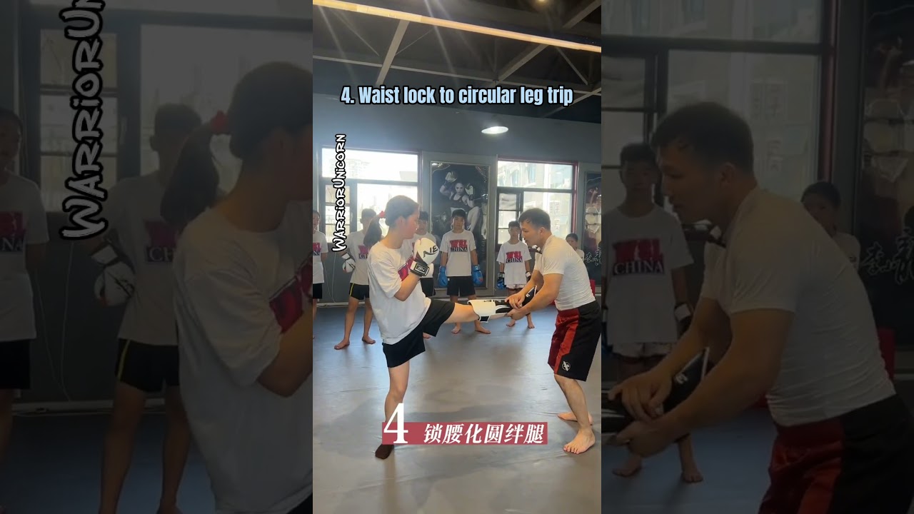 Sanshou Takedown : 6 Techniques to Counter Sidekicks and Leg Throws!