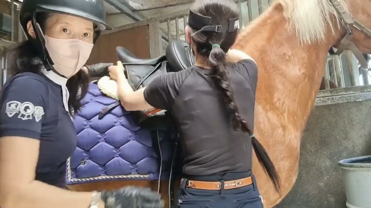 말 장안하기