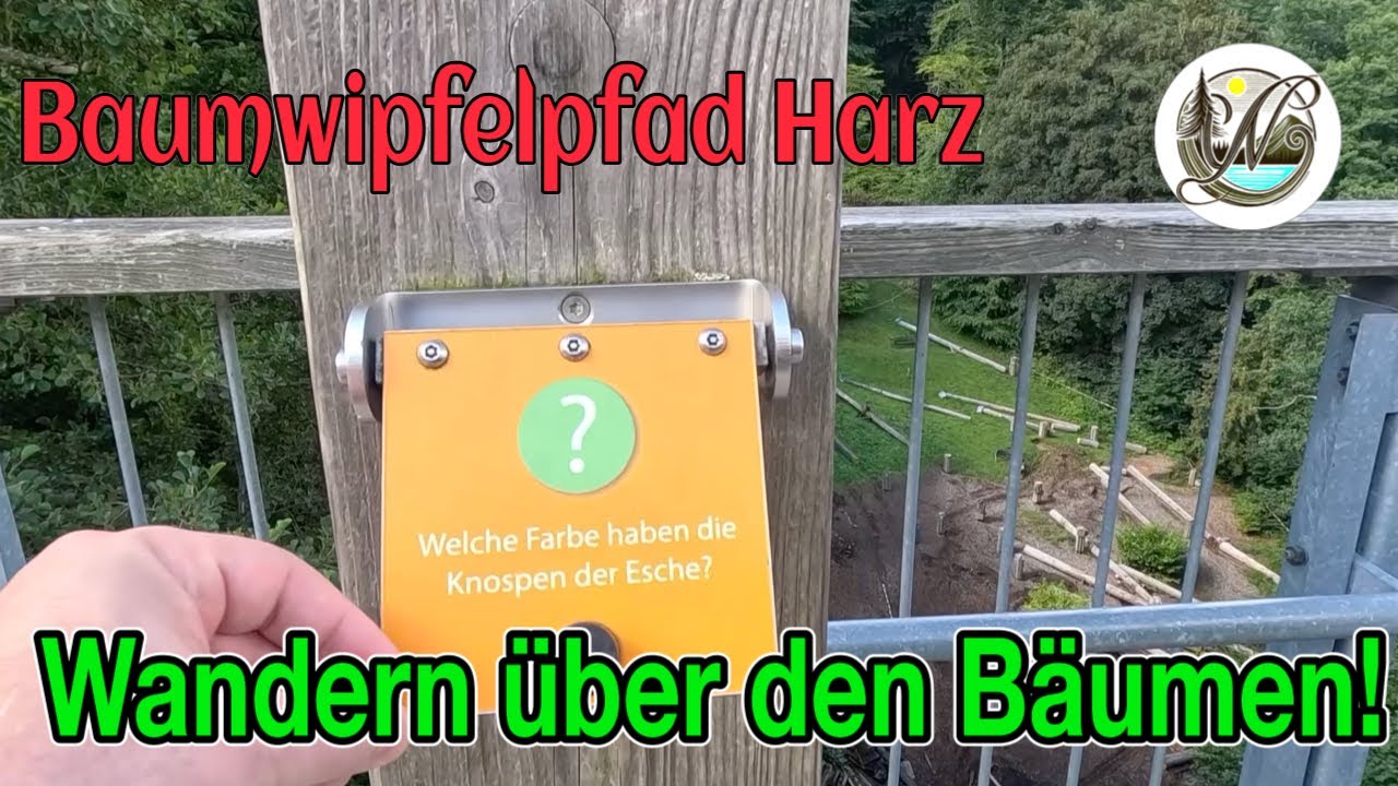 Im Wipfel der B&auml;ume - Der Baumwipfelpfad Harz &ndash; Naturerlebnis in 20 Metern H&ouml;he 🌲