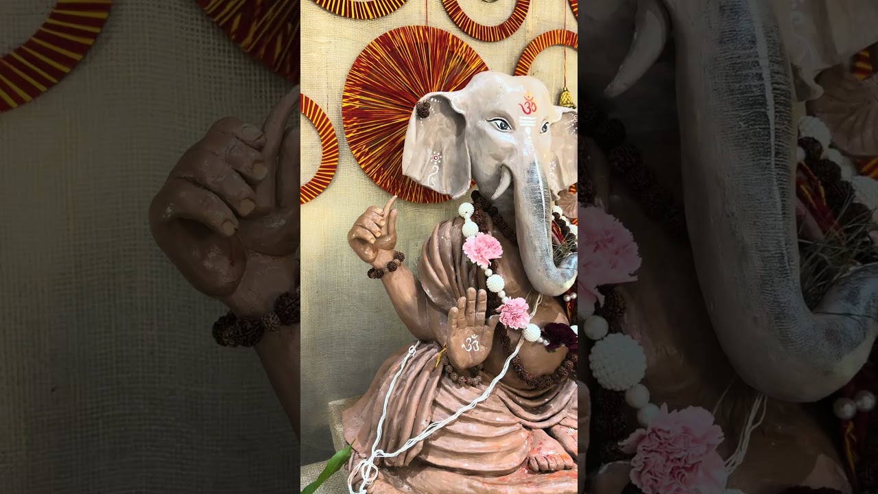 Ganpati festival celebration 2026 in Canada #bappa #celebration #gujju #punjabi