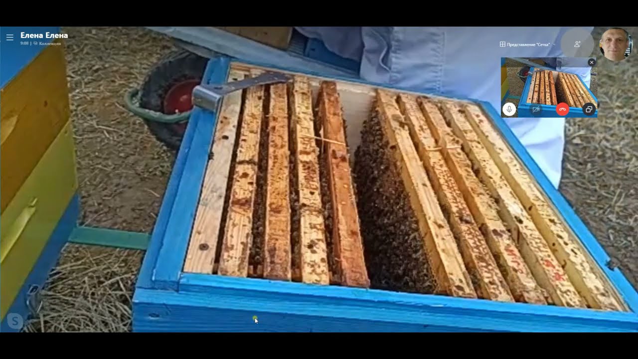 Озерова Елена  23,04,2021