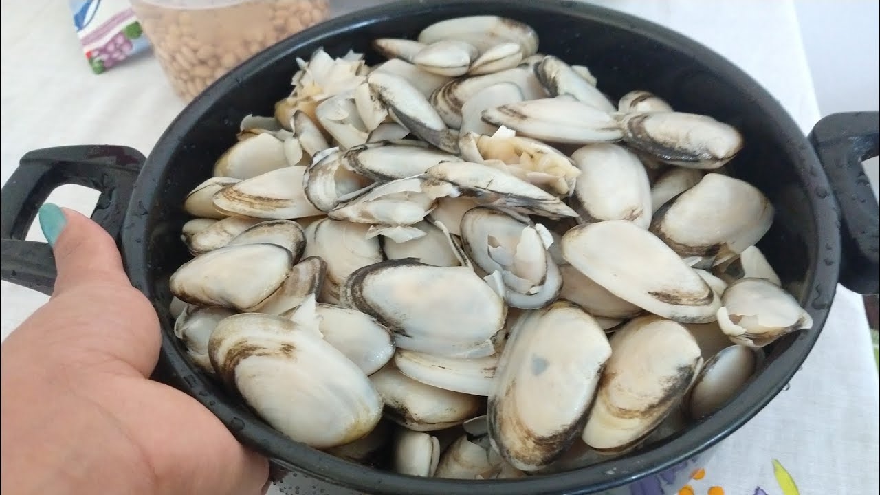 MARISCOS, como pegar e limpar esse fruto do mar, na ilha complida.