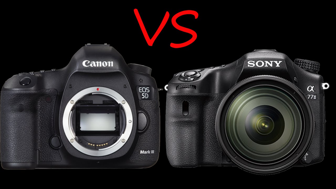 Canon 5D Mark III vs Sony A77 II