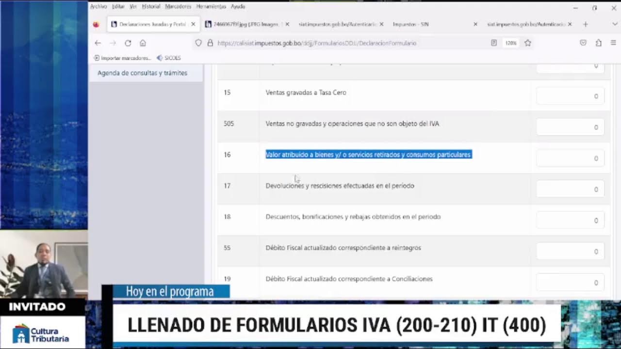 PROGRAMA IMPUESTOS CONTIGO: LLENADO DE FORMULARIOS IVA E IT 200 - 210 Y 400