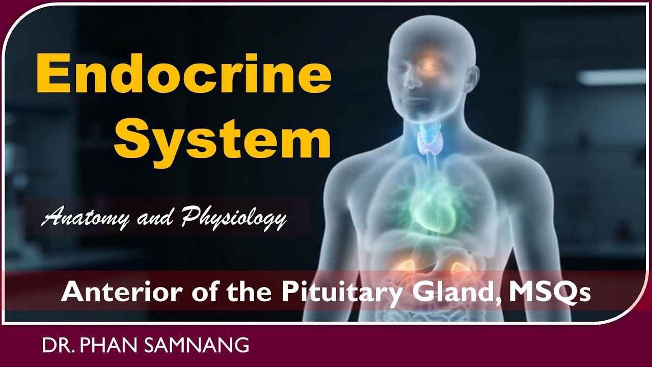 Lecture 1 || The Pituitary Gland || Anatomy and Physiology