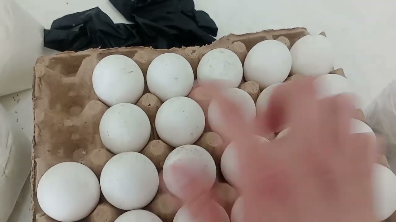 asmr en mi trabajo muy casero parte 2