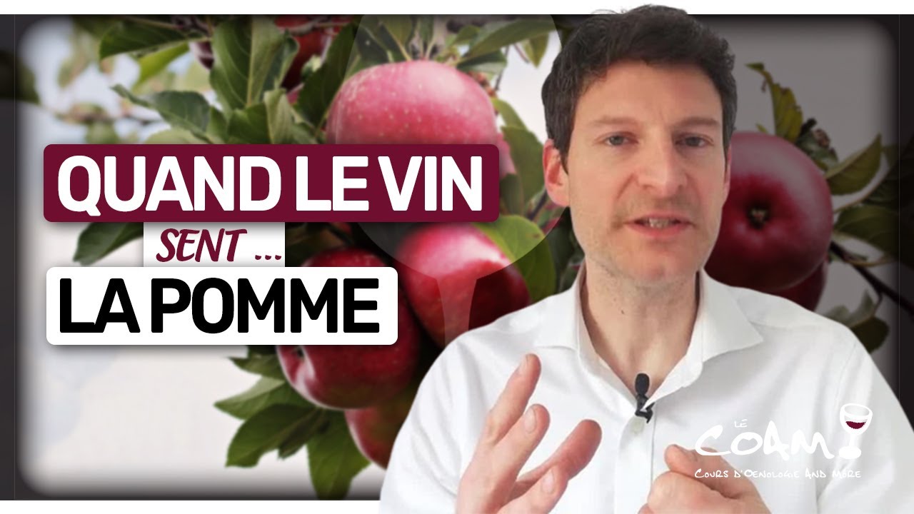 Leçon n°30 : Quand le VIN sent … la POMME