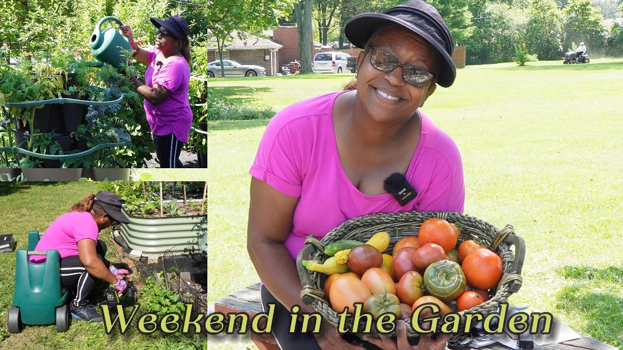 Weekend in the garden