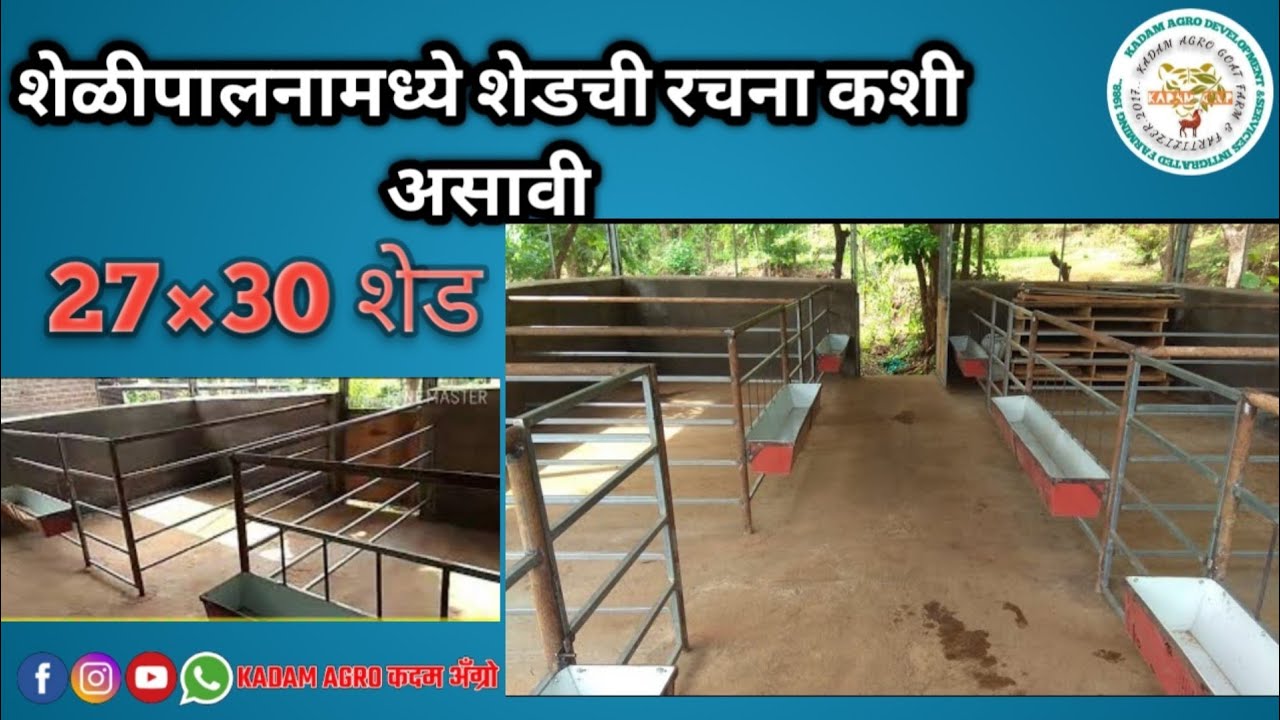 || बकरीफार्म शेड कम खर्च मे कैसे बनाये ||  How to build a goat farm shed at low cost || #बांधिस्त