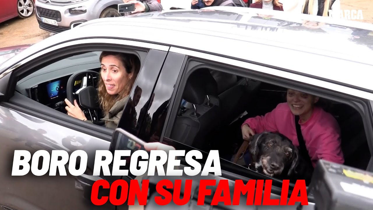 Aparece Boro, el perro perdido en el accidente ferroviario de Adamuz I MARCA