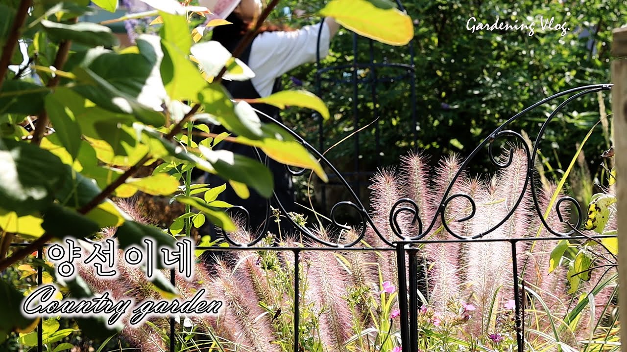 드디어 가을이 왔습니다./저는 저의 인생 도구를 찾았습니다.