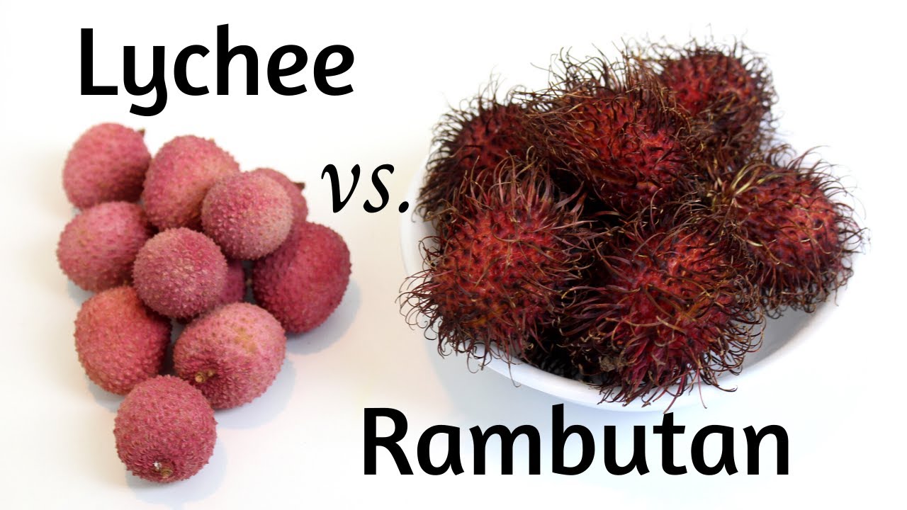 Lychee vs Rambutan |Tropical Fruit