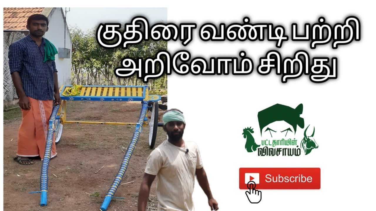 Kuthirai Vandi | Pattathariyin Kuthirai Vandi Experience Tamil | Nambiyur Kuthirai Vandi
