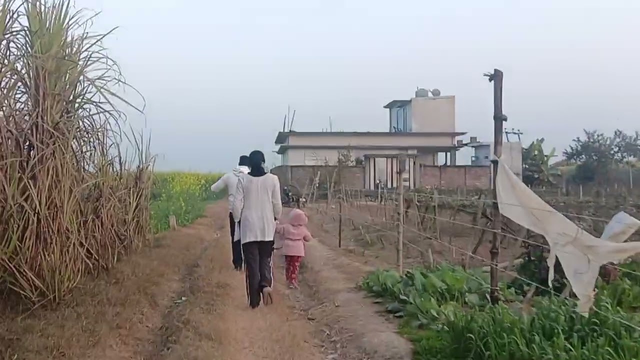 Mere gaon