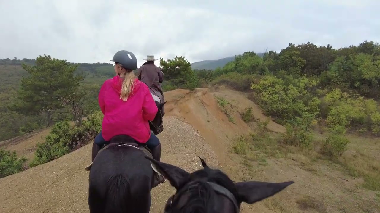 Horseback tour 2023
