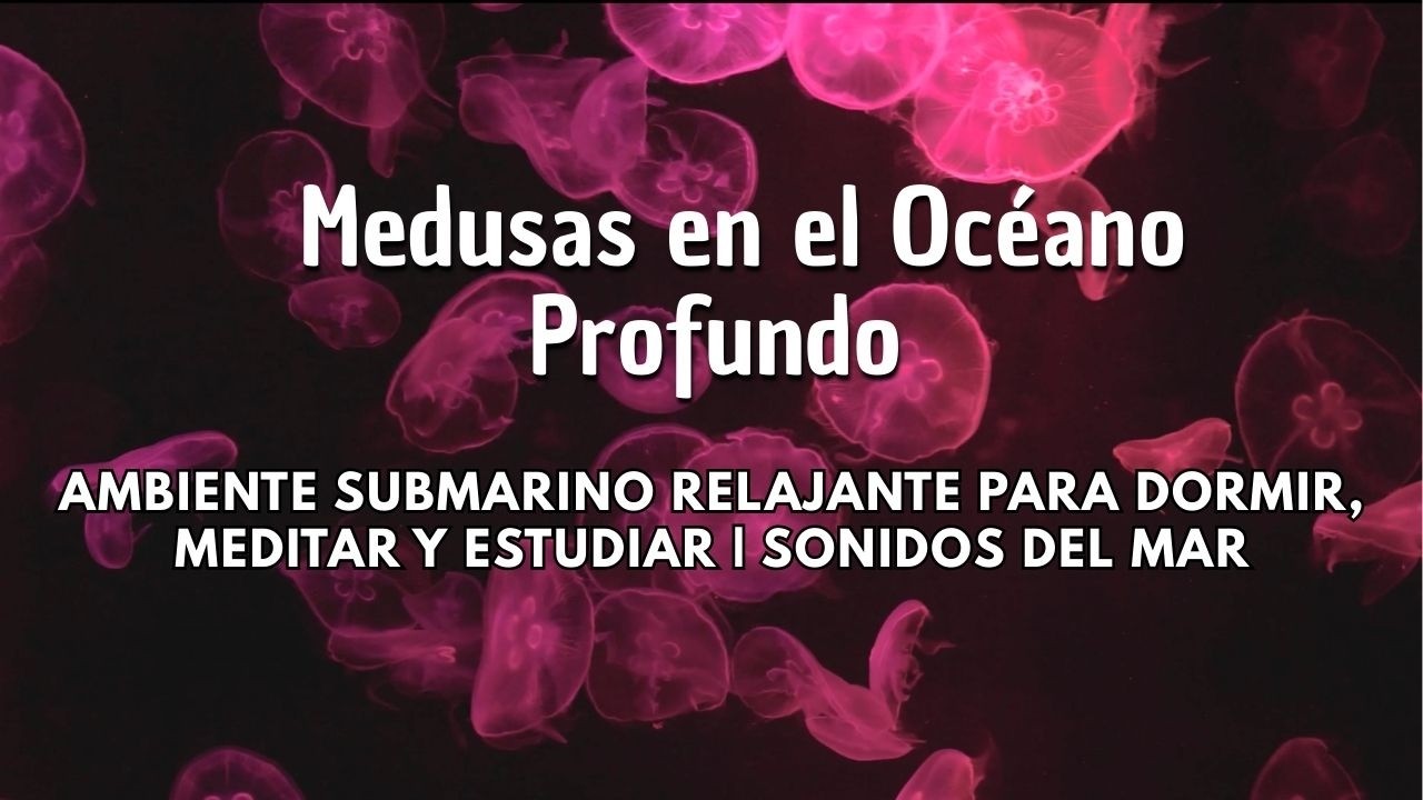 Medusas en el Océano Profundo 4K 🪼 Ambiente Submarino Relajante para Dormir, Meditar y Estudiar