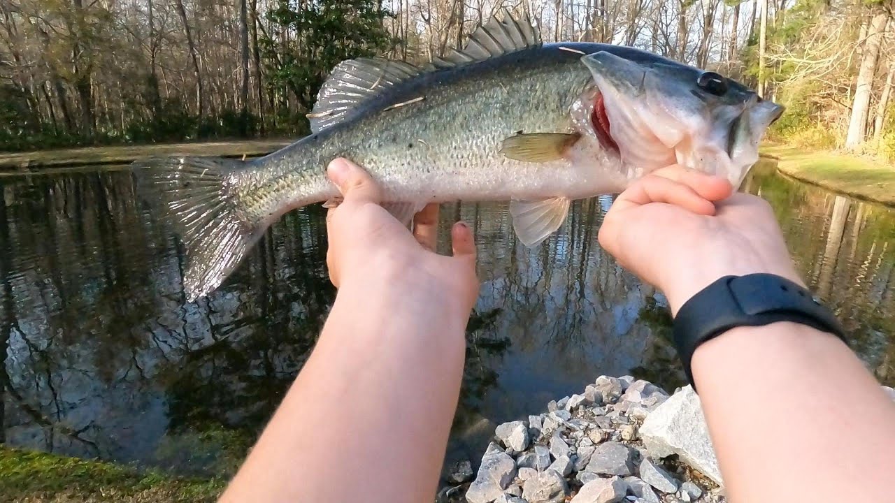 Frog Fishing Season is in Coming!!!!