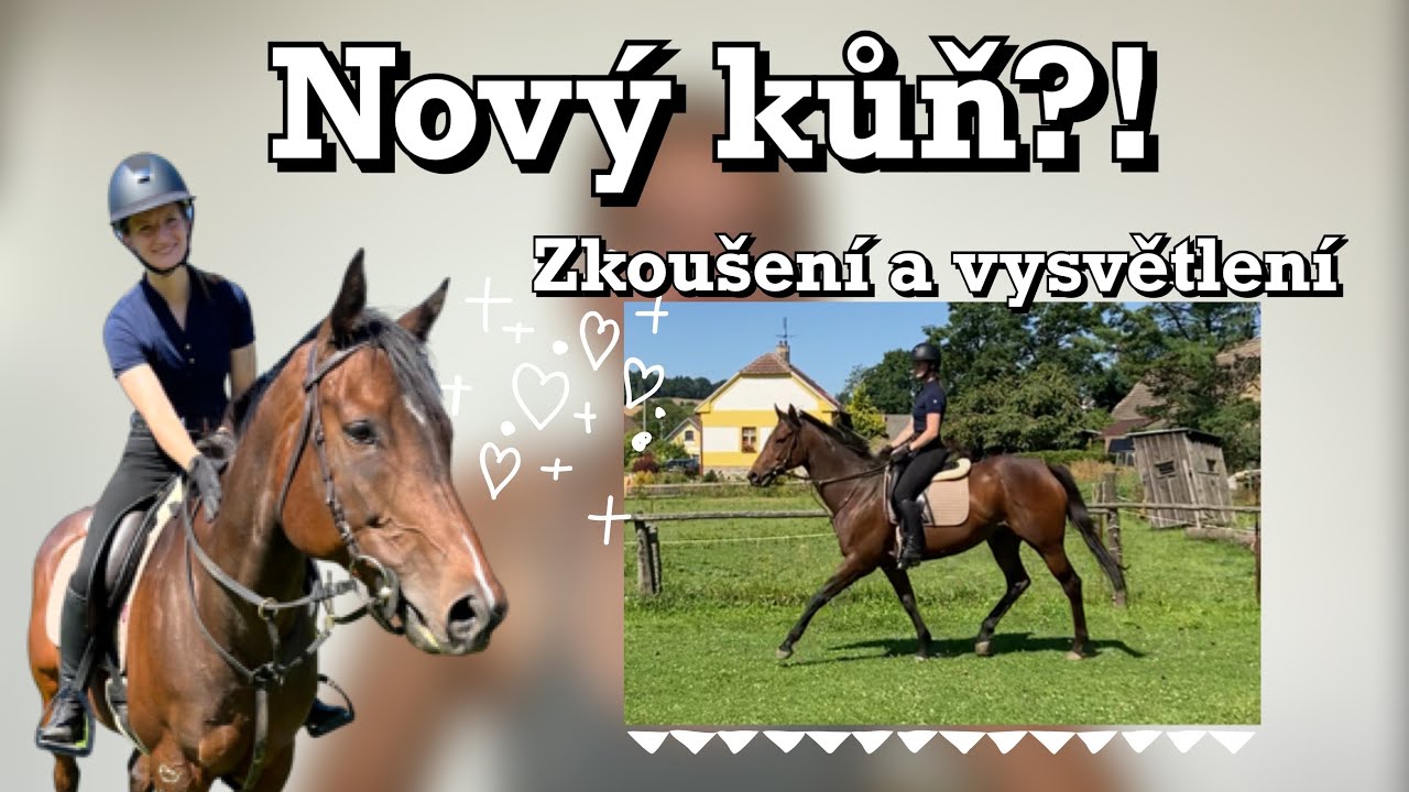 Nový kůň?! Zkoušení a vysvětlení | Derniéra