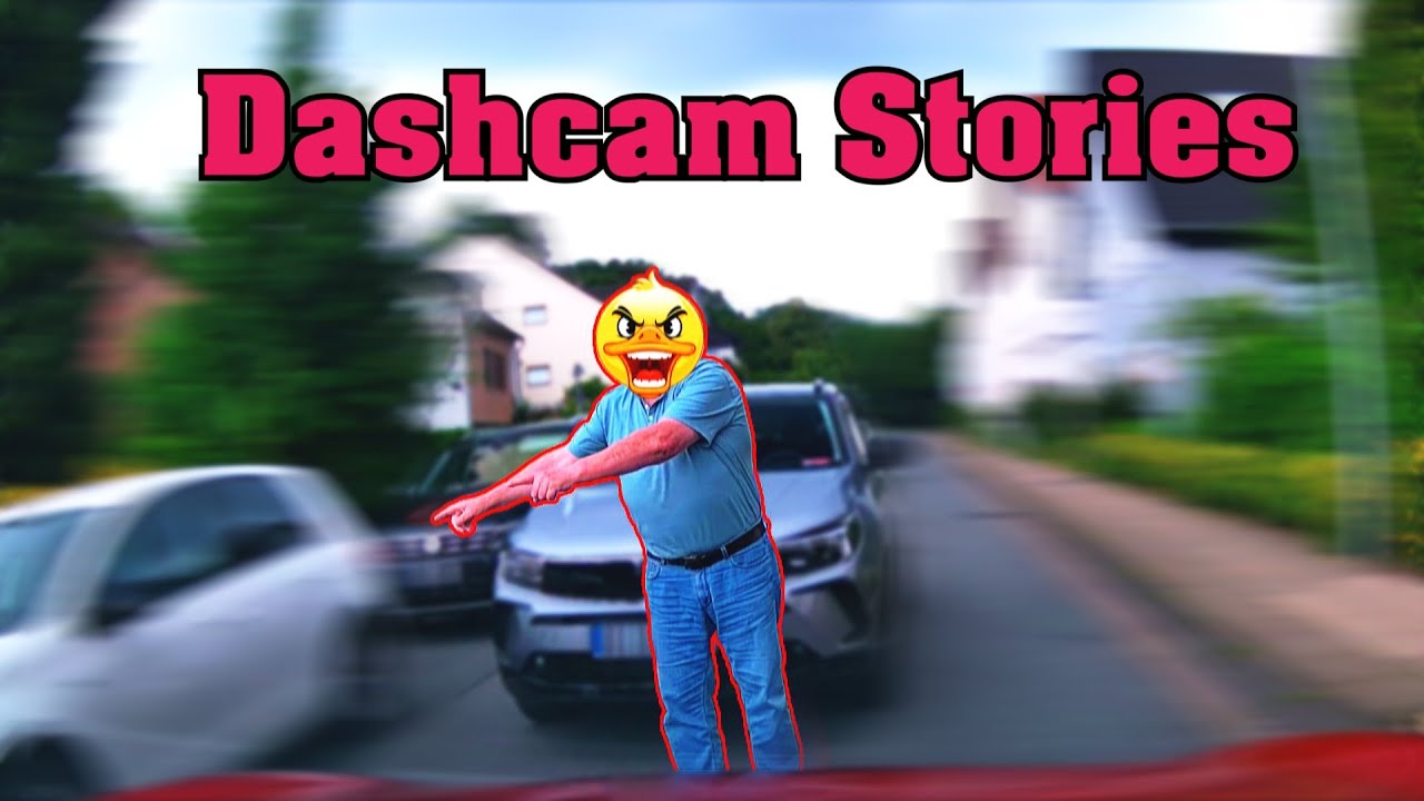 ICH hab recht und freundlicher Mittelfinger | Dashcam Stories #174
