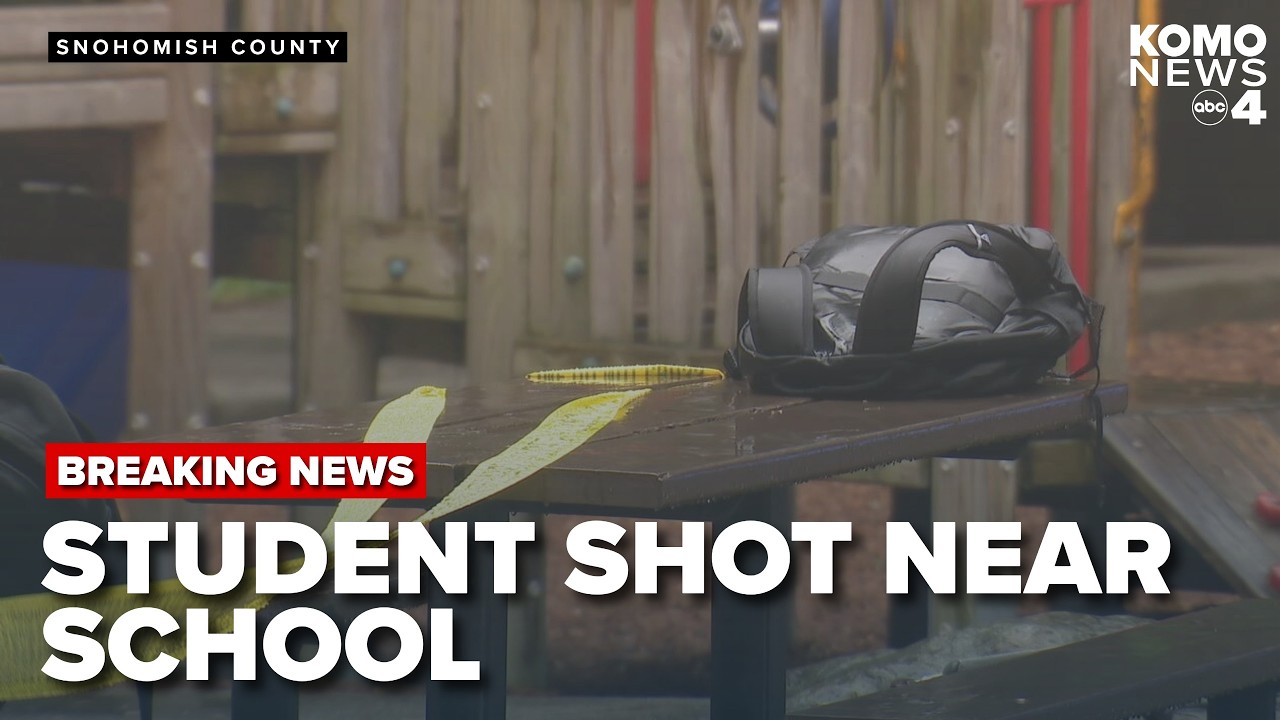 Two Meadowdale High students involved in park shooting; police searching for suspect