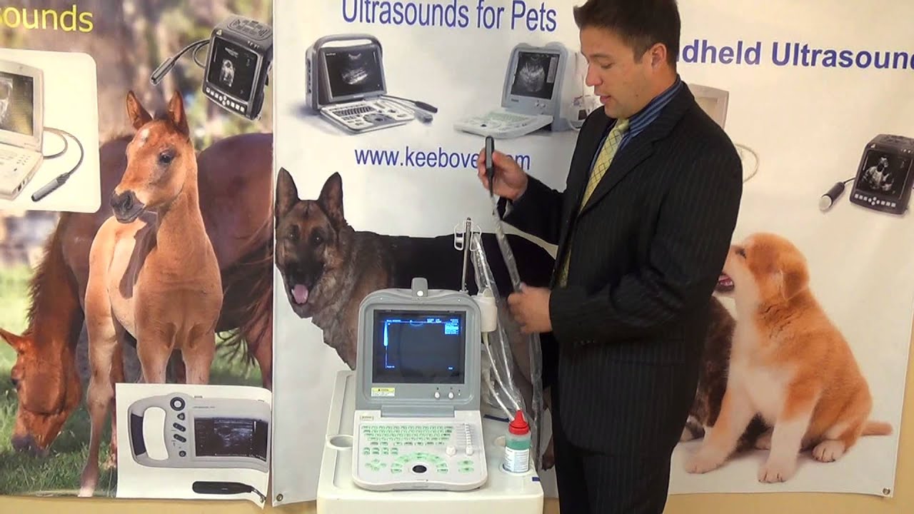 Veterinary Ultrasound KX2600V | Short Introduction