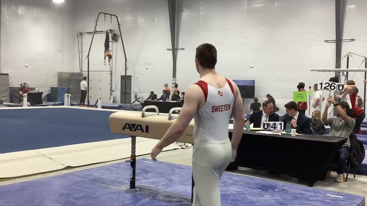 Pommel Horse