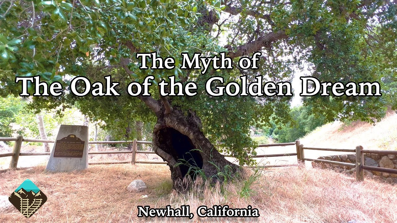 Where Gold Was First Found in California - The Oak of the Golden Dream
