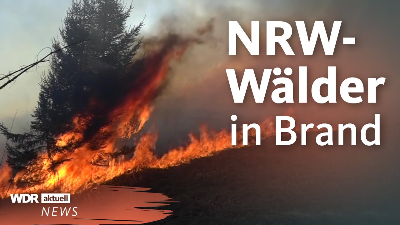 Wieder ein Waldbrand in NRW: So hoch ist die Gefahr | WDR aktuell