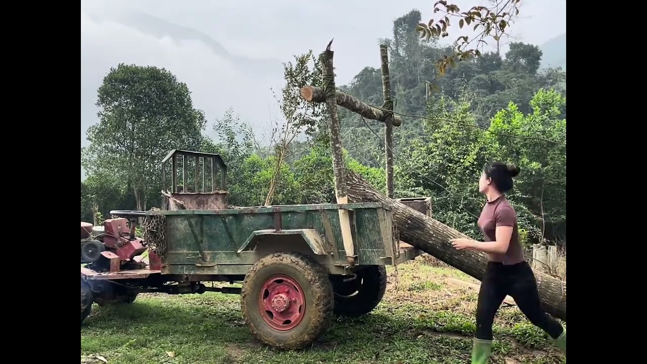 Transporting timber alone on a country road | Wild in timber transfer to girl | Hard work alone girl