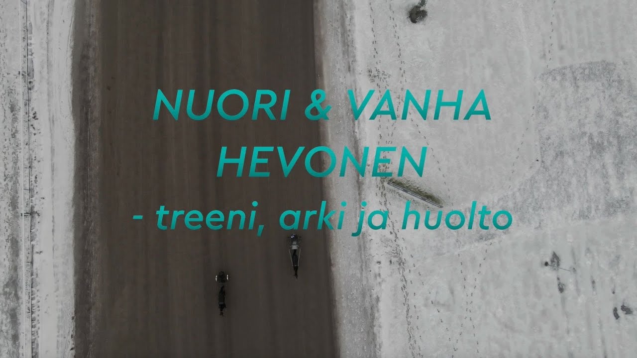 Nuori ja vanha hevonen - Treeni, arki ja huolto