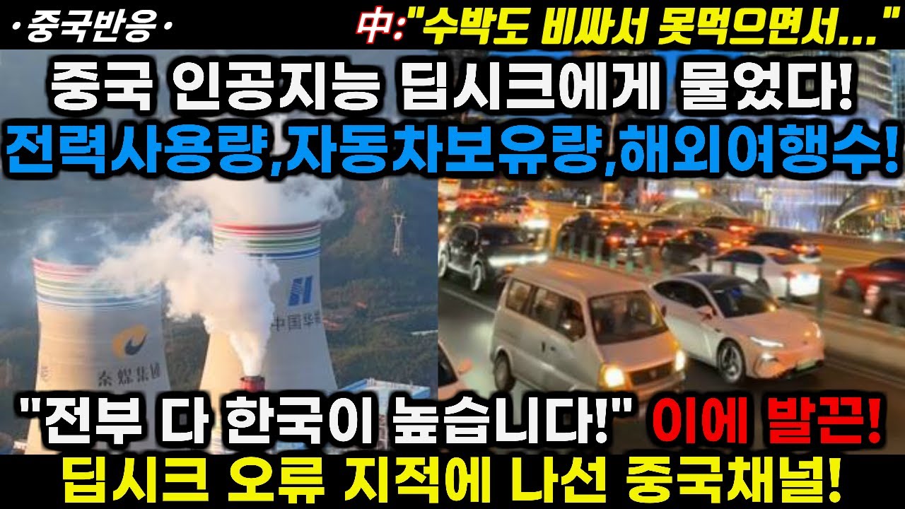 |중국반응|중국 인공지능 딥시크에게 물었다! 전력 사용량, 자동차 보유량, 해외여행수! 