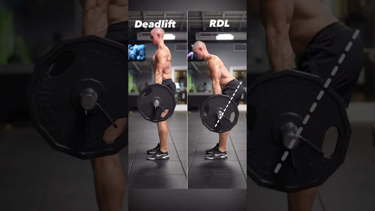 Deadlift Vs RDL #shorts #deadlift #rdl