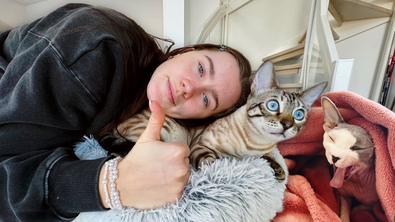Tehdään Meidän Kissojen Aamurutiini