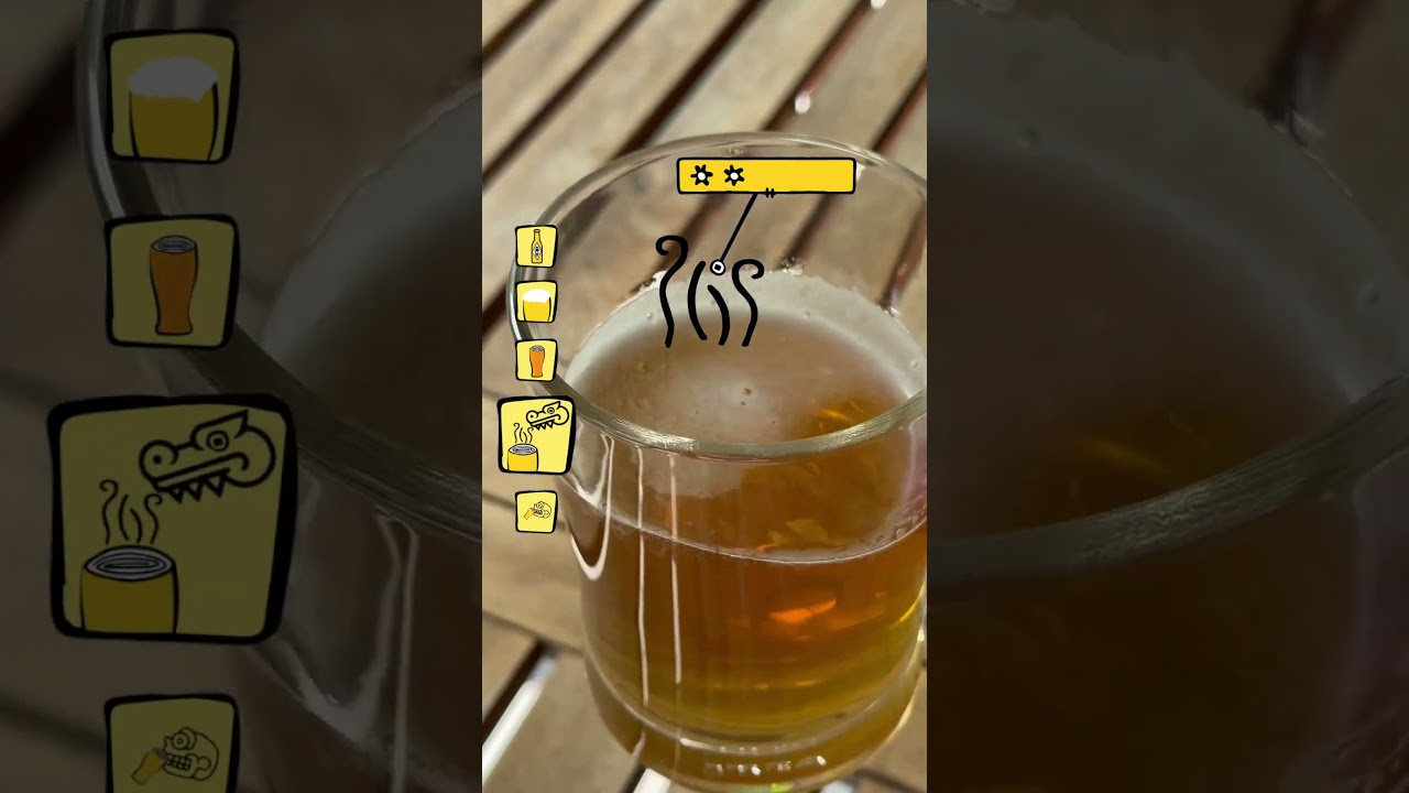Lech Easy - Browar Grodzisk #beerfluencer #beertlatoani