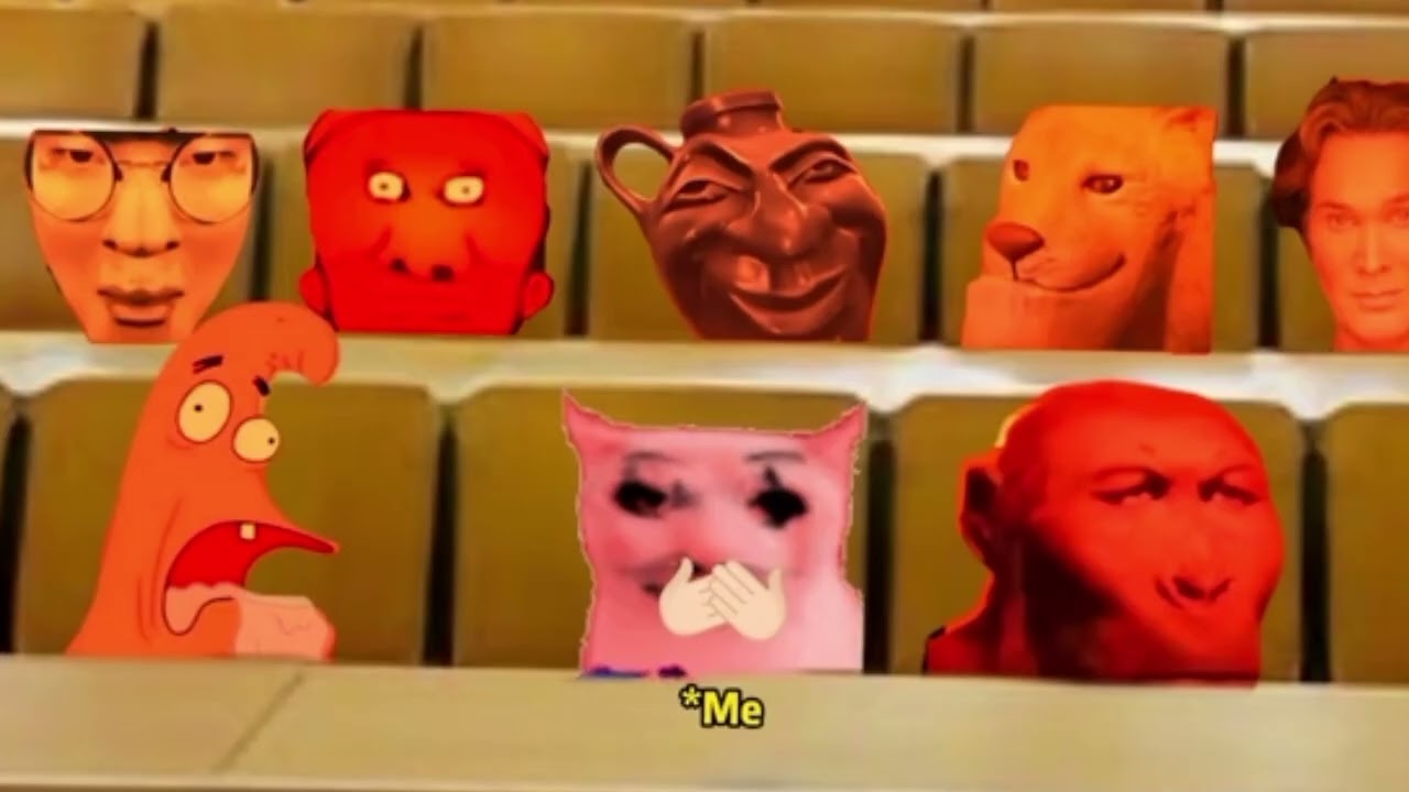For cat meme school cat