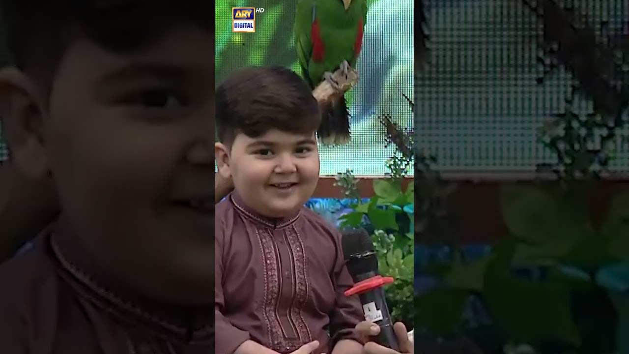 Apko kon pasnad hai, choti Behen ya Ahmed Shah #umershah #Shorts