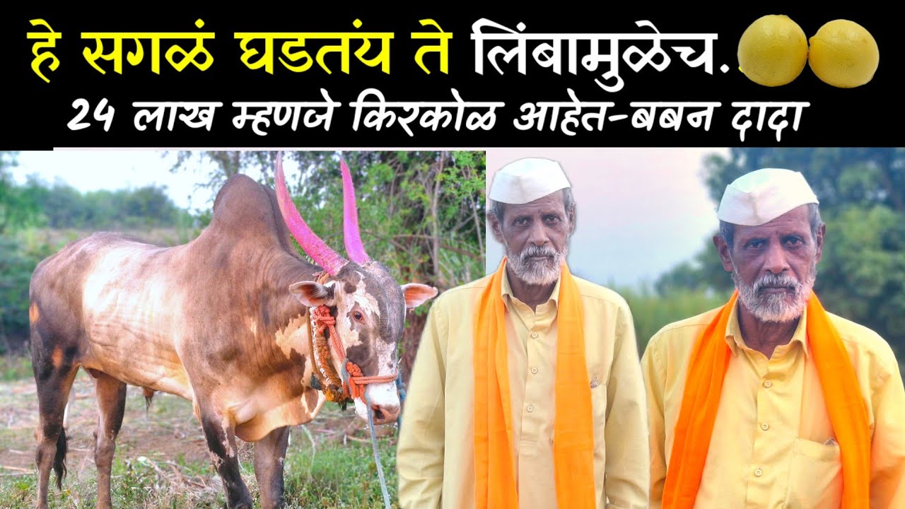 रोमनला विकला नाही याचा पश्चाताप होत नाही 9552873075