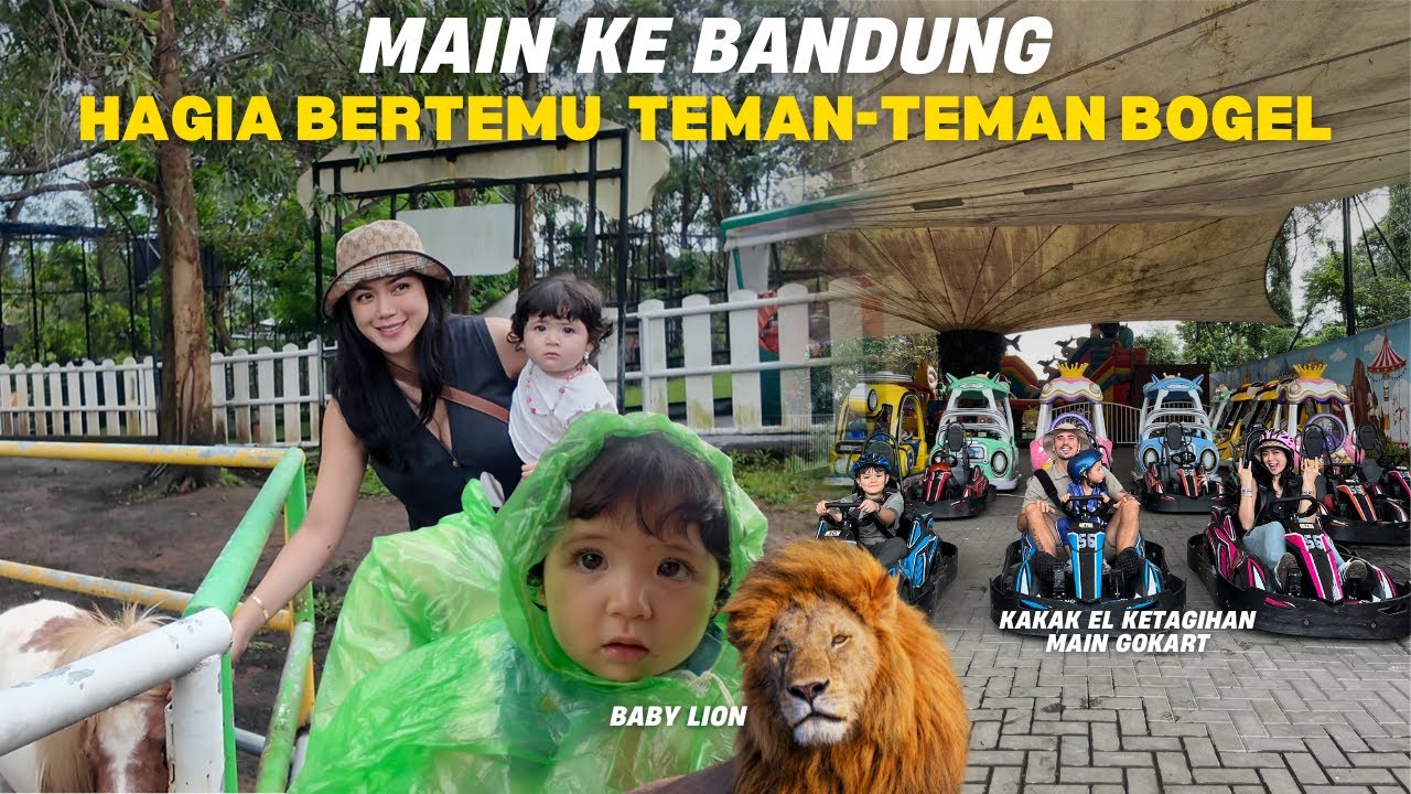 KAKAK DON BERANI KASIH MAKAN HARIMAU?! | Bandung day1