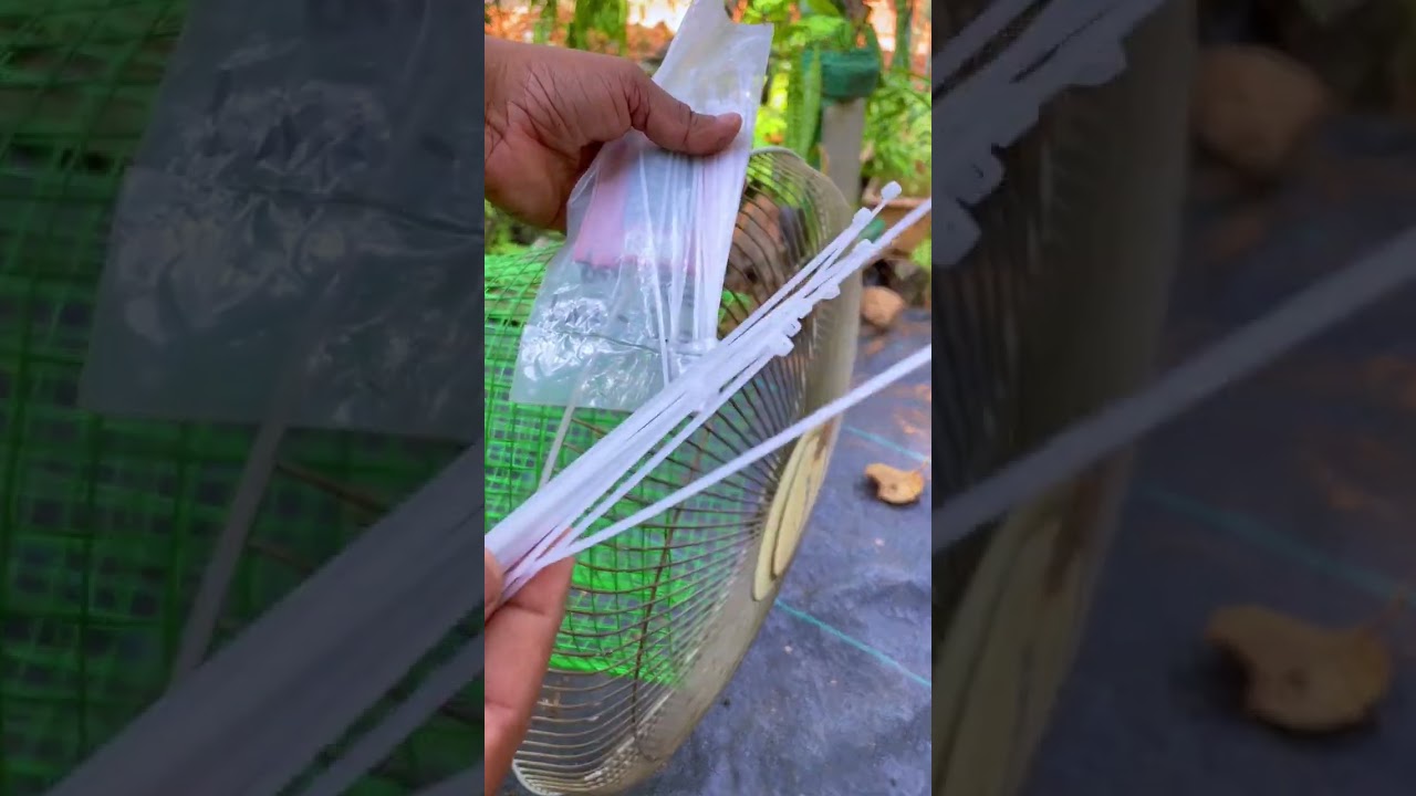 Hello kids out there you can try making an easy bird cage at home on vacation 