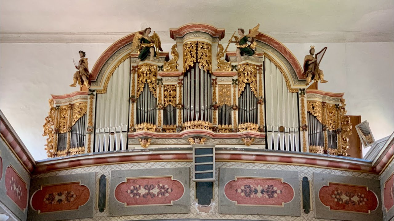 Matthias Grünert unterwegs | Haina  | Seeber-Orgel | Johann Pachelbel | Ricercare