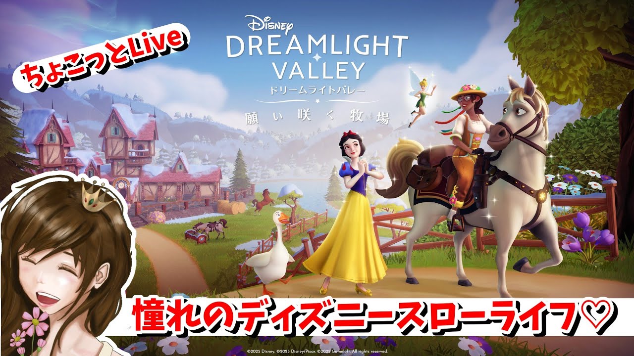 【ディズニードリームライトバレー】