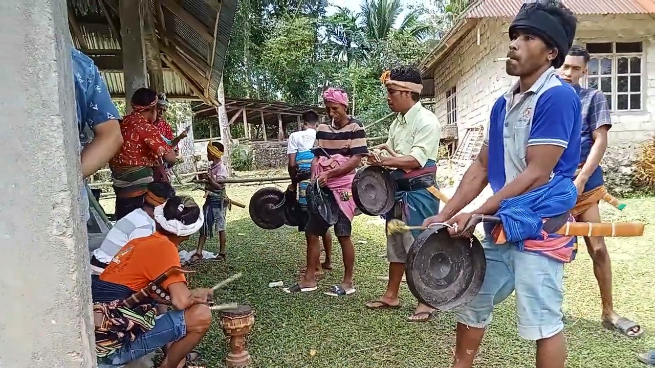Gasa Sumba (SBD) viralllllllllll #budaya #ahligong